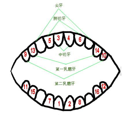 点击查看下一张