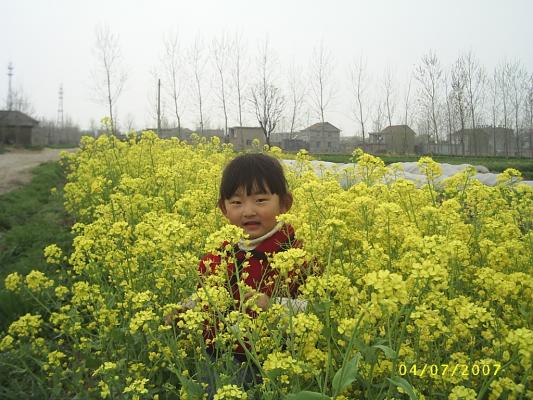 点击查看下一张